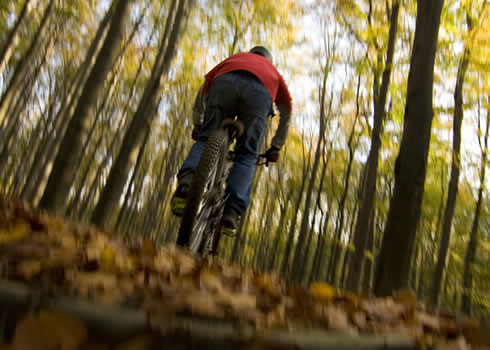 Riding through the leaves in Autumn