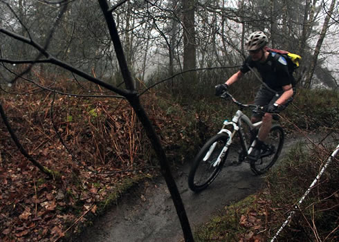 A rider zooms down some flowing singletrack