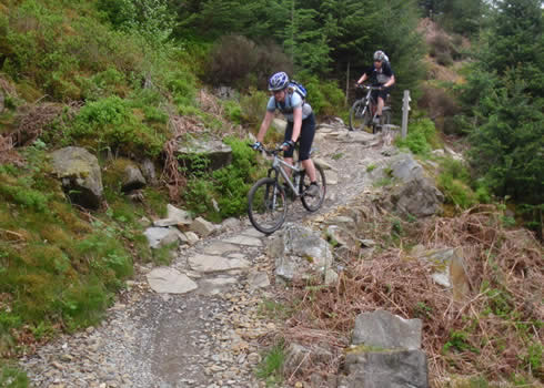 Riding The Beast at Coed y Brenin